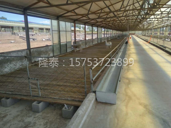 羊床清理辦法介紹